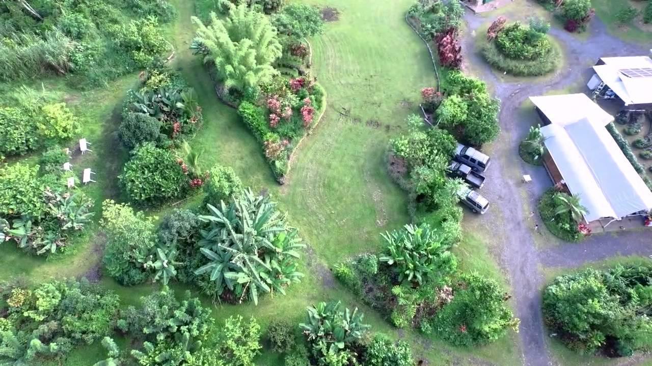 הוילה Pahoa Hawaiian Sanctuary Eco Retreat Center מראה חיצוני תמונה