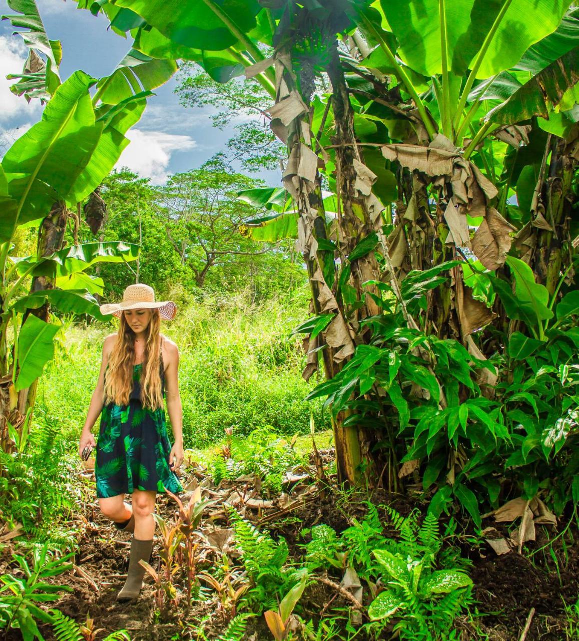הוילה Pahoa Hawaiian Sanctuary Eco Retreat Center מראה חיצוני תמונה